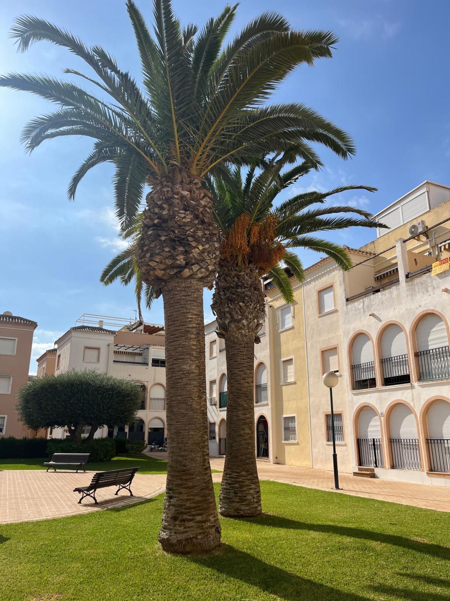 Torrevieja 2 Bedrooms Appartment Εξωτερικό φωτογραφία
