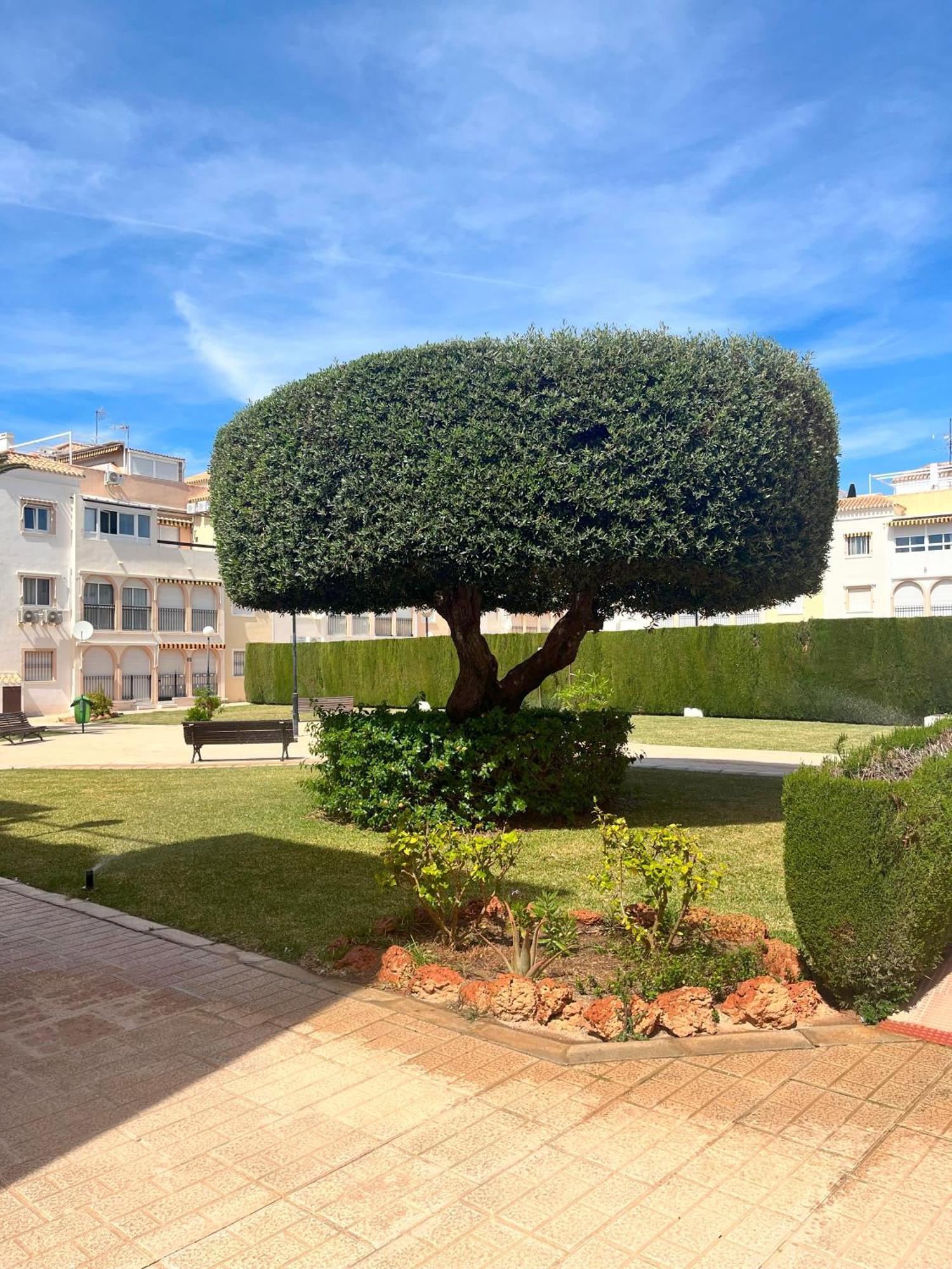 Torrevieja 2 Bedrooms Appartment Εξωτερικό φωτογραφία